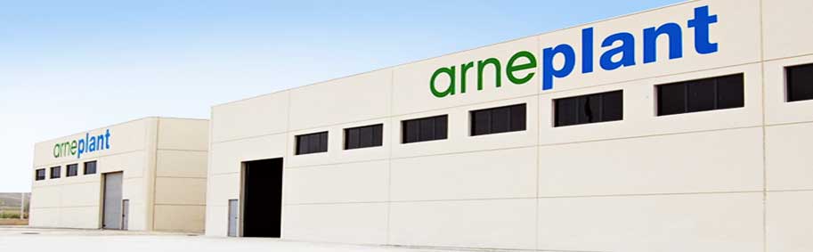 Arneplant