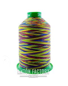 Hilo Coser Calzado y Textil Multicolor