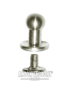 Tornillo Gemelo Y Cinturón