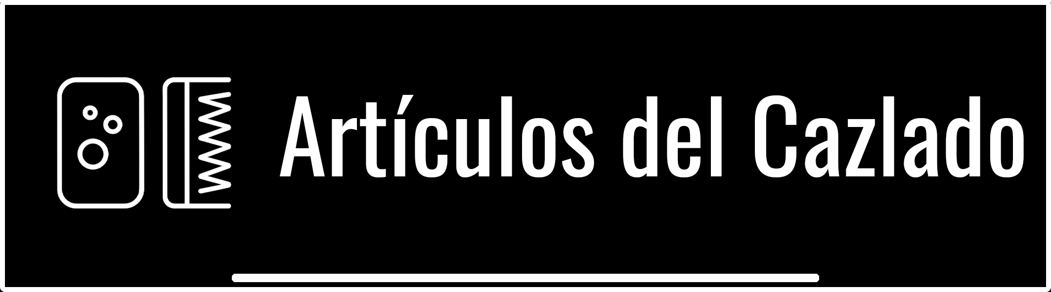 Artículos Calzado